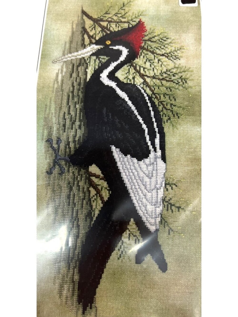 Back From The Brink Ivory-Billed Woodpecker Cross Stitch Pattern